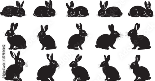 A black and white illustration of a rabbit in a relaxed pose.