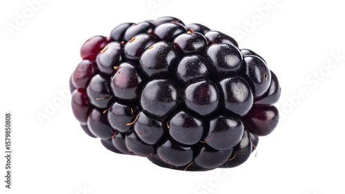 Close up of fresh blackberry fruit isolated on black background healthy eating and antioxidant benefits