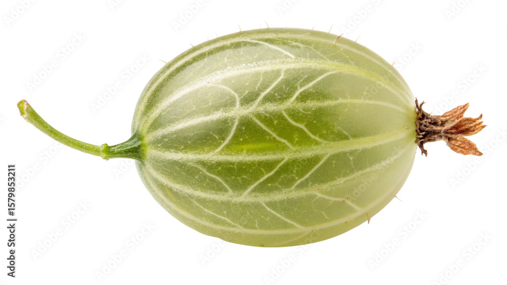 Naklejka premium Isolated gooseberry fruit close up photo for healthy eating and fresh produce stock images and backgrounds