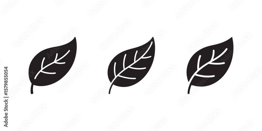 Three leaf icons in black with visible veins on a white background Three leaf icons in black with visible veins on a white background