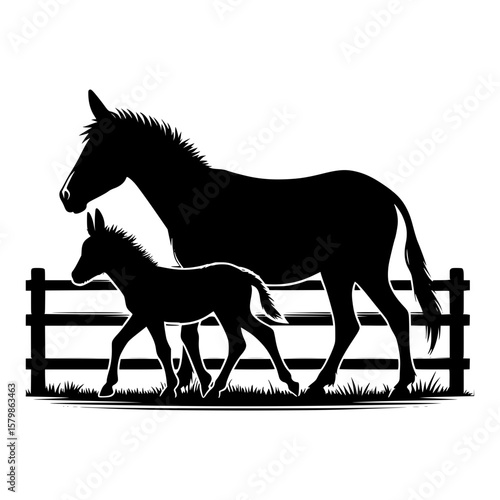 Silhouette of a mother donkey and her foal standing by a wooden fence