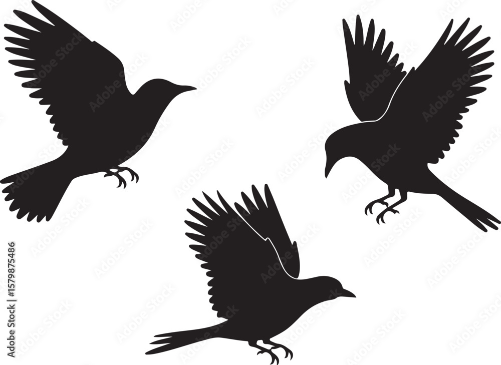 Fototapeta premium Flying and Perching Bird Silhouette Set Crow and Sparrow Vector Silhouettes Bundle Black Bird Clipart Collection – Flying & Branch Poses