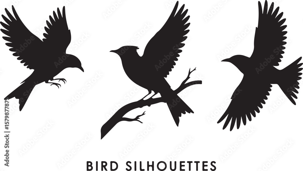 Obraz premium Flying and Perching Bird Silhouette Set Crow and Sparrow Vector Silhouettes Bundle Black Bird Clipart Collection – Flying & Branch Poses