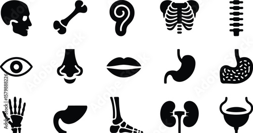 Illustration of human body parts and organs in black and white icons set