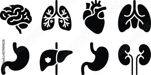 Illustration of human internal organs in black silhouette on white background