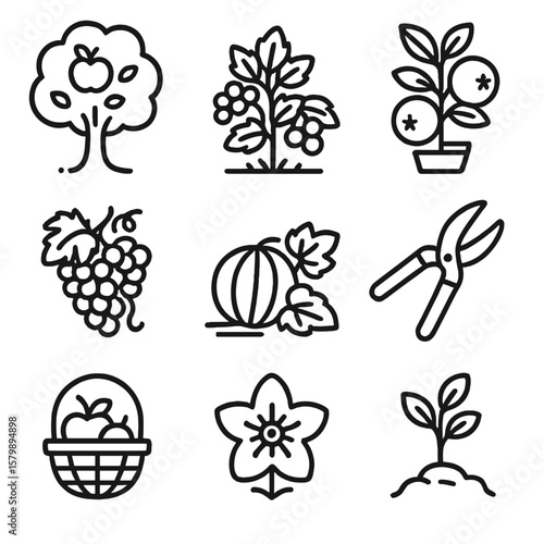 Icon citrus fruit apple tree plant pruning vector melon backyard icons shears