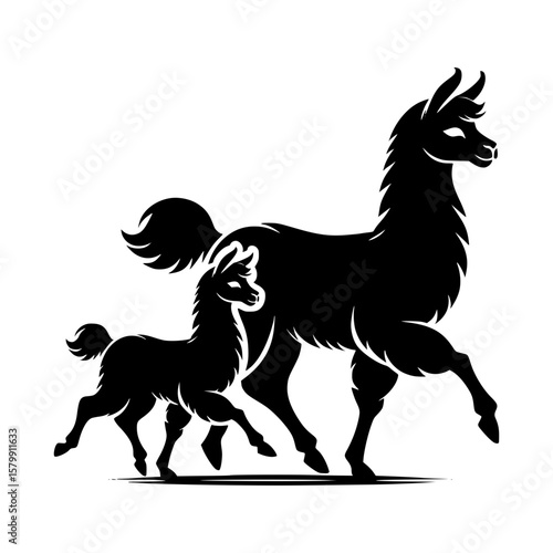 Elegant black silhouette of a llama and its young calf walking together
