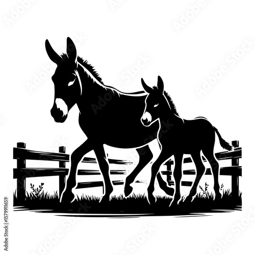 Silhouette of a mother donkey and foal walking together beside a fence