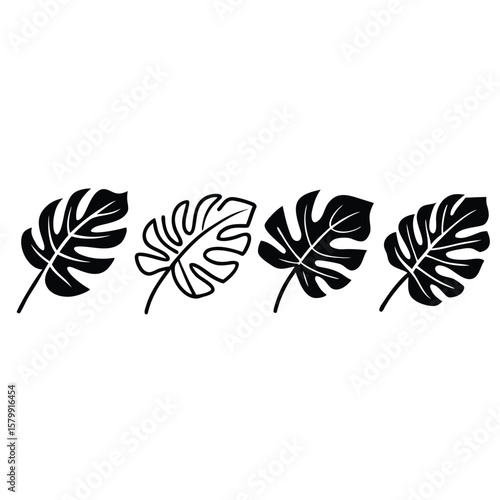 Four stylized monstera deliciosa leaves in black and white silhouette and outline styles for graphic design