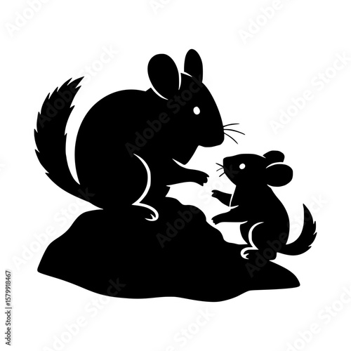 Two chinchillas silhouetted against a white background interacting