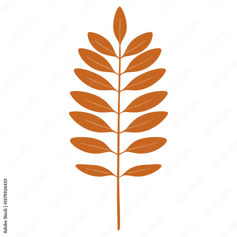 Fototapeta premium Brown long Rowan leaf illustration simple art vector