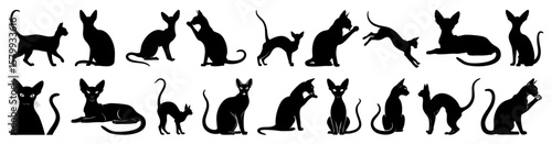 Oriental Shorthair Cat Silhouettes Collection in Various Poses on White Background, Minimalist Black Cat Vector Art, Elegant Feline Shapes for Design and Pet Lover Illustrations