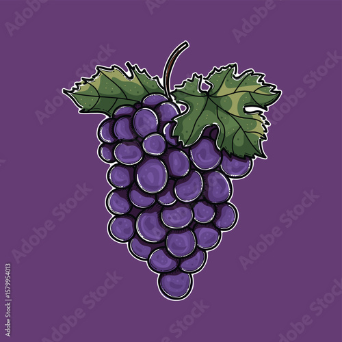 A detailed artistic illustration of a purple grape cluster with green leaves, depicted against a purple background. Ideal for food, beverage, or vineyard related visual projects and graphic designs.