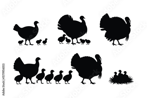 Turkeys and chicks silhouettes baby birds poultry