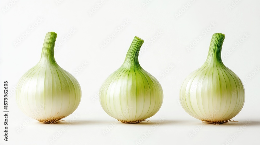 Obraz premium Three small onions in a row against white