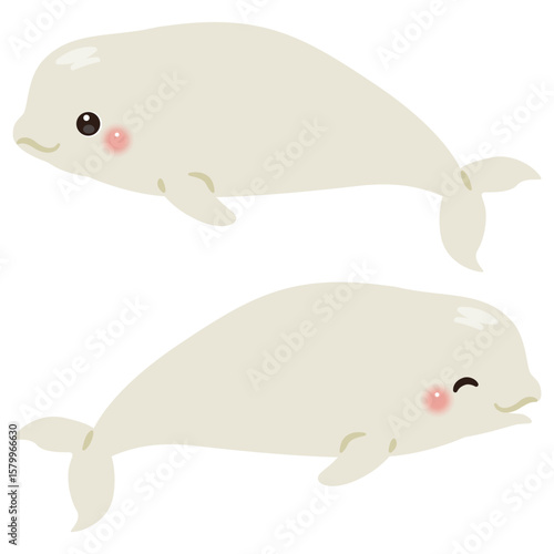 シロイルカの横向きイラストセット