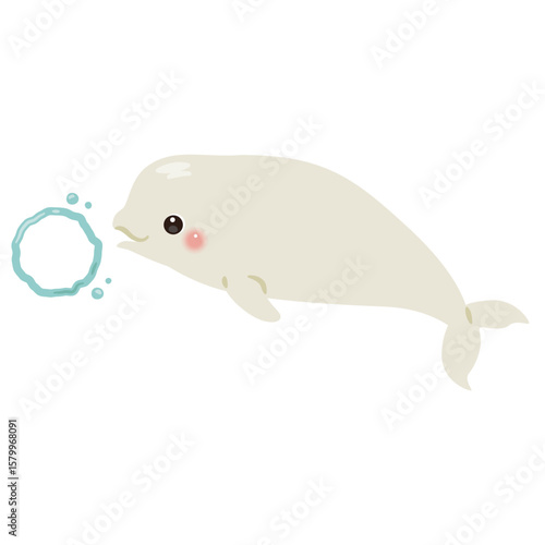 バブルリングを出すシロイルカのイラスト