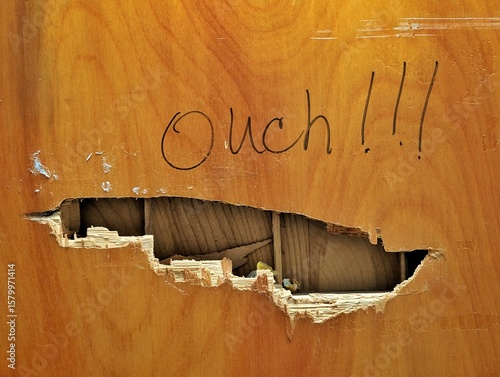 old wooden broken door with hal 