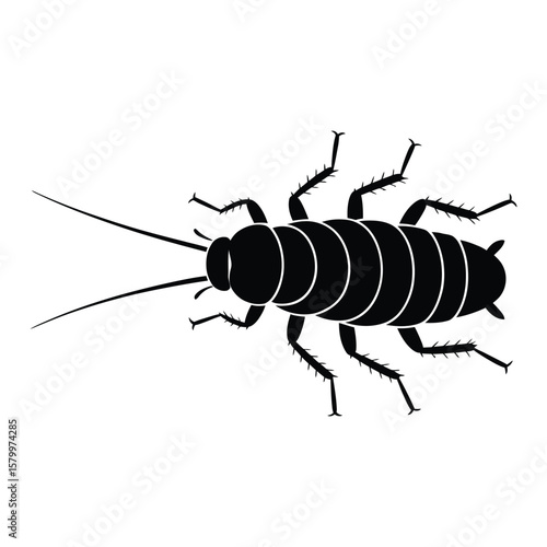 German Cockroach Lifecycle Silhouette, Vector, Illustration, Outline, Line Art, Icon, White Background.