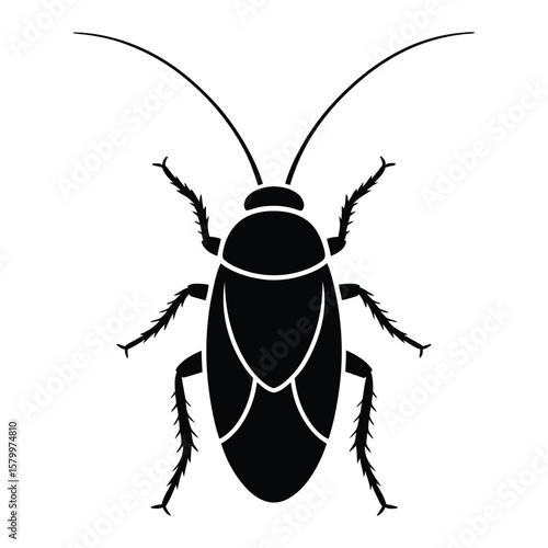 Minimalist Single Roach Silhouette, Vector, Illustration, Outline, Line Art, Icon, White Background.