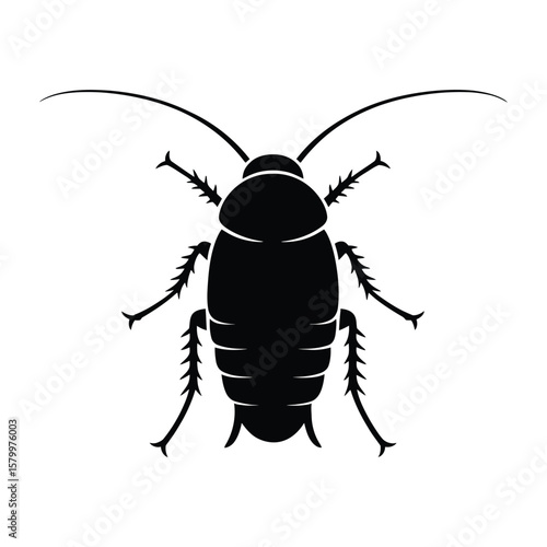 Shadow Effect Cockroach Silhouette, Vector, Illustration, Outline, Line Art, Icon, White Background.
