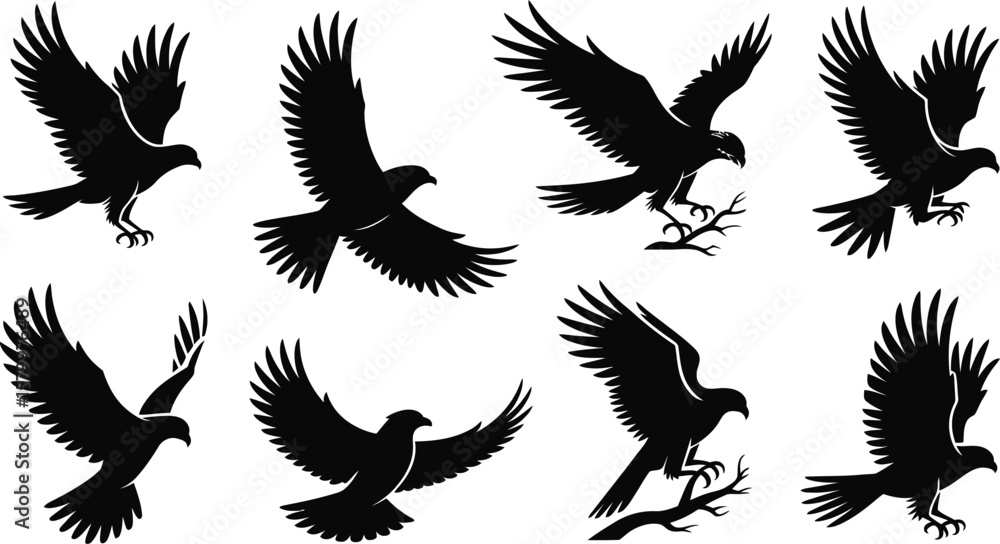 Obraz premium Black Silhouette Hawks Birds Flying Landing Set vector