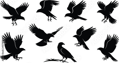 Nine Black Hawk Silhouettes Flying Landing Perched