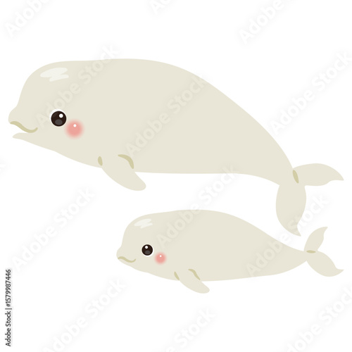 シロイルカの親子イラスト