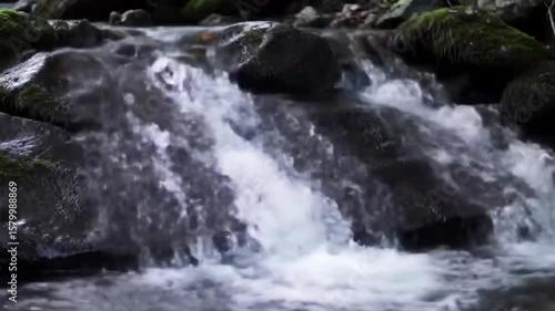 Small Waterfall over Wet Forest Rocks – Cinematic Nature Footage