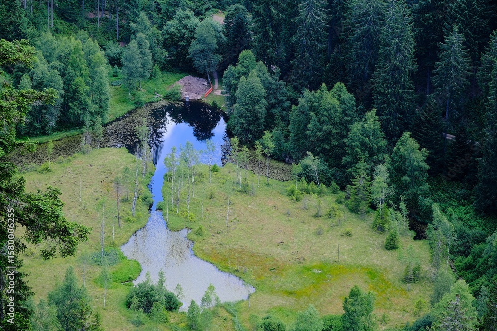Fototapeta premium Ellbachsee im Schwarzwald