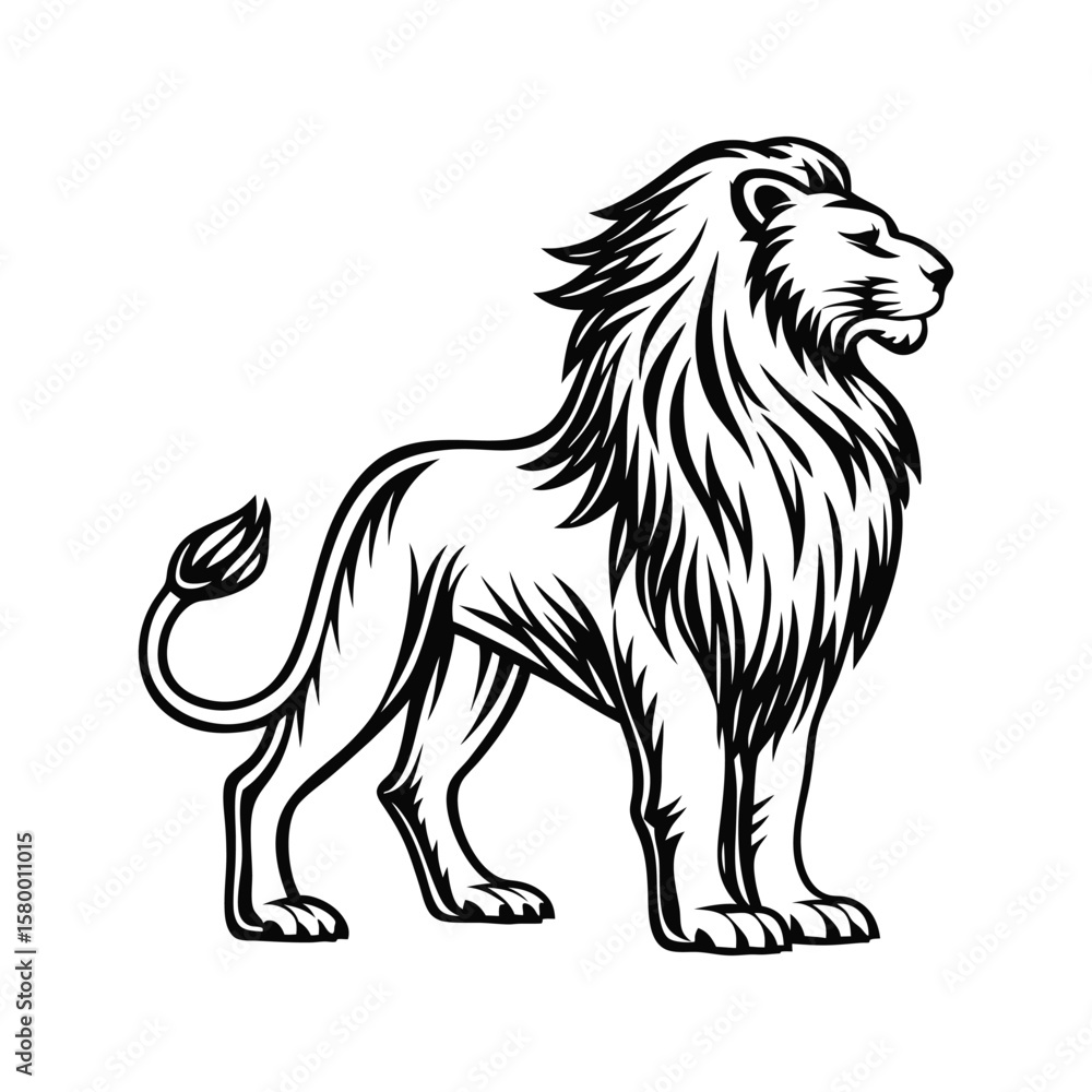 Obraz premium Majestic lion standing profile black and white illustration wild animal mammal