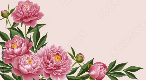 Vibrant Pink Peonies and Lush Green Foliage on a Soft Background