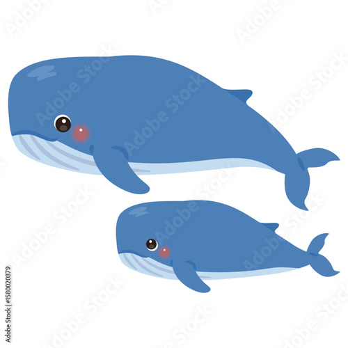 クジラの親子イラスト