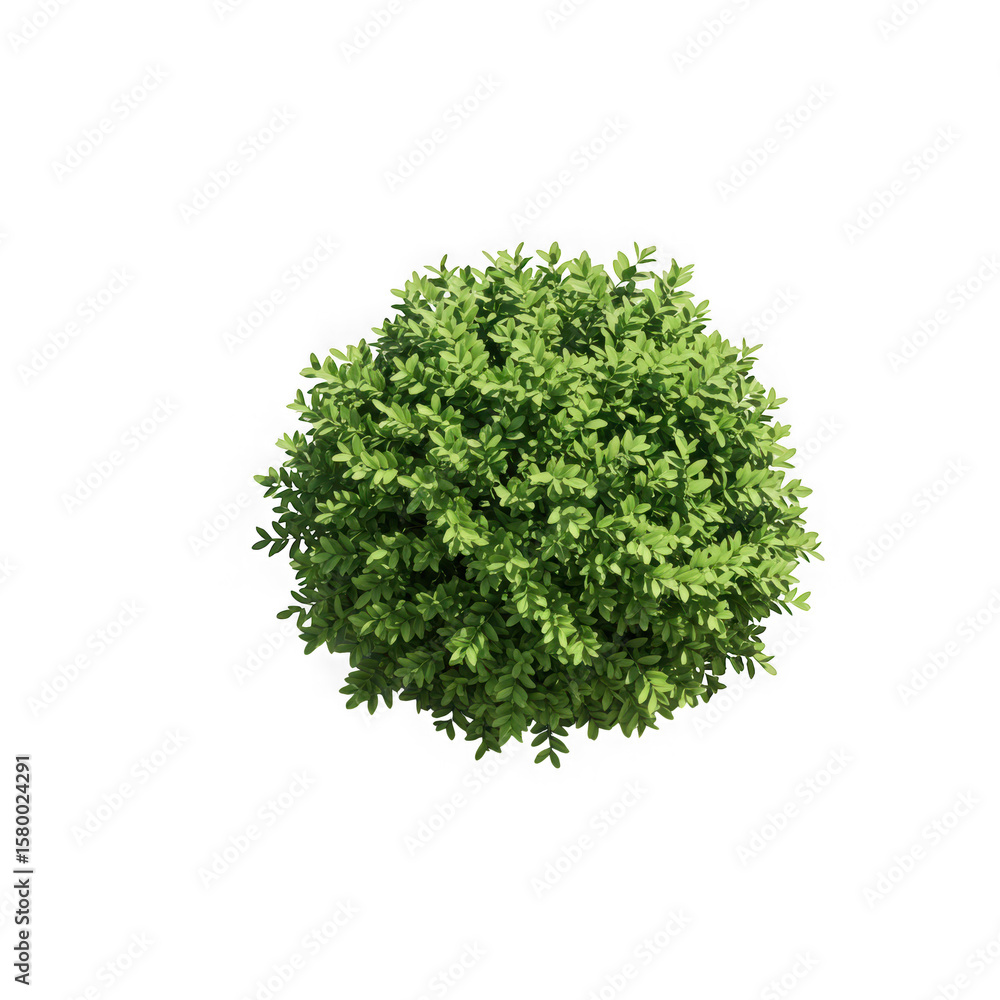 Naklejka premium A green bush isolated on transparent background, perfect for landscaping
