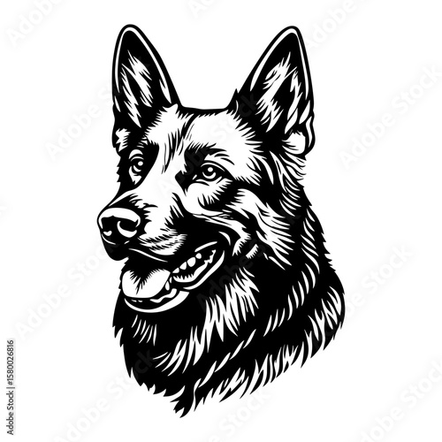 German Shepherd face linear illustration shepherd animal vector