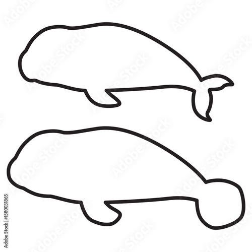 ジュゴンとマナティの線画