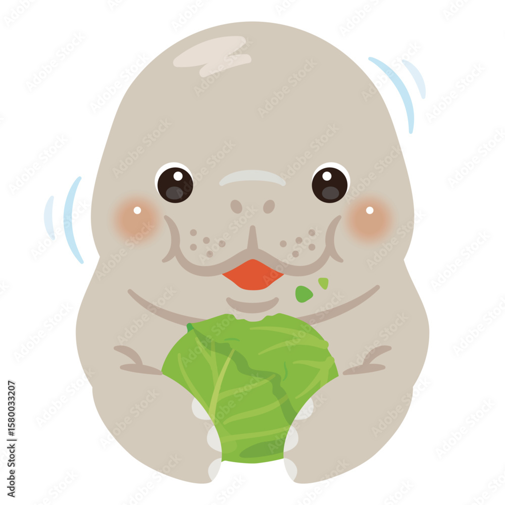 Obraz premium キャベツを食べるマナティ