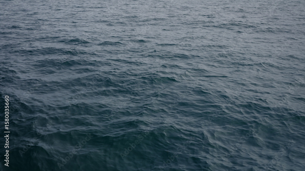 Fototapeta premium indian ocean surface form a boat