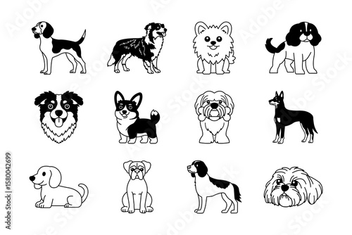 Collection of black and white illustrations of purebred dogs