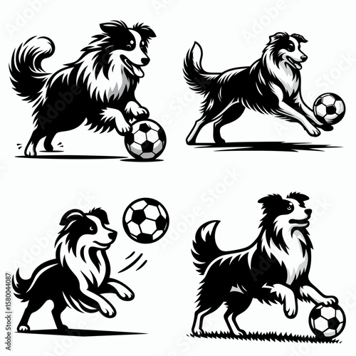 Australian Shepherd Dog play soccer. Football Sports Ball Game silhouette Clipart Line Art Vector Illustration. Canine herder having fun kicking activity a domestic animal sport.