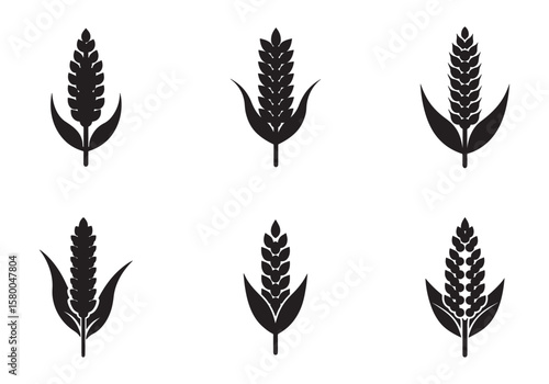 set of quinoa icon vector illustration