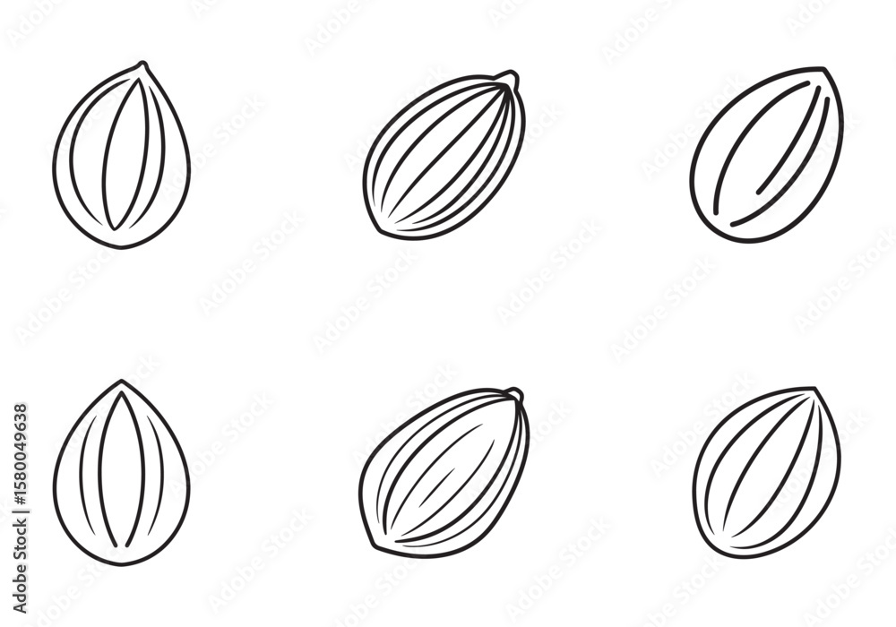 Fototapeta premium almond icon line art vector illustration