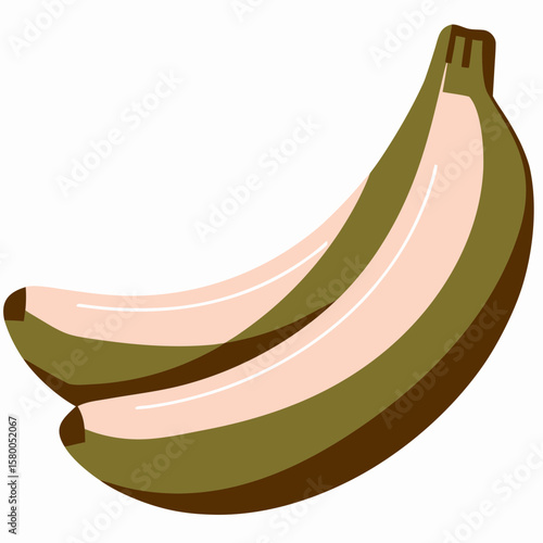 Two green bananas on a white background  