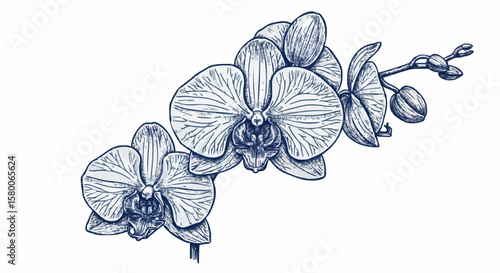 Orchid porcelain decoration design (dark blue)