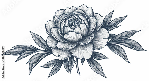 Peony porcelain decoration design (dark blue)