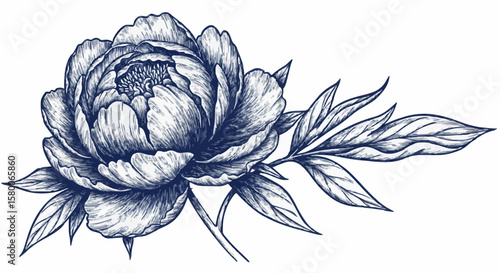 Peony porcelain decoration design (dark blue)