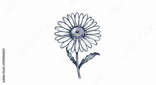 Daisy porcelain decoration design (dark blue)