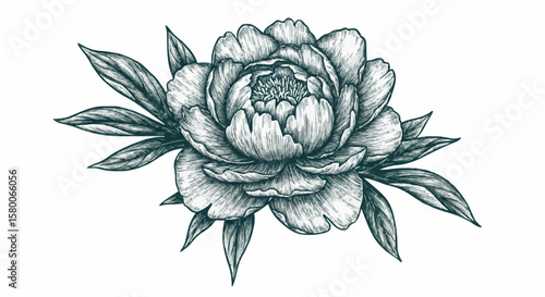 Peony porcelain decoration design (dark green)