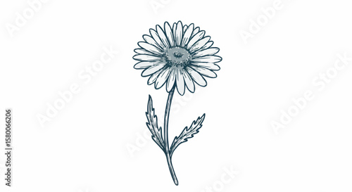 Daisy porcelain decoration design (dark blue)