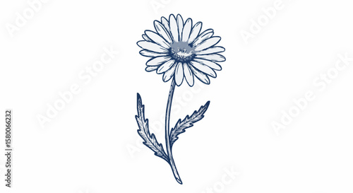 Daisy porcelain decoration design (dark blue)
